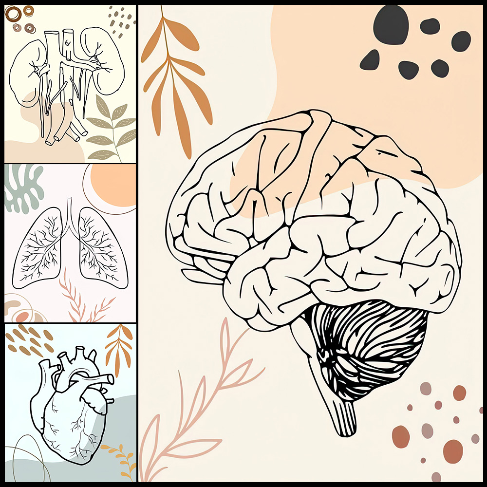 Science Nursery - Poster Biologi Pembibitan Otak Sains Anatomi